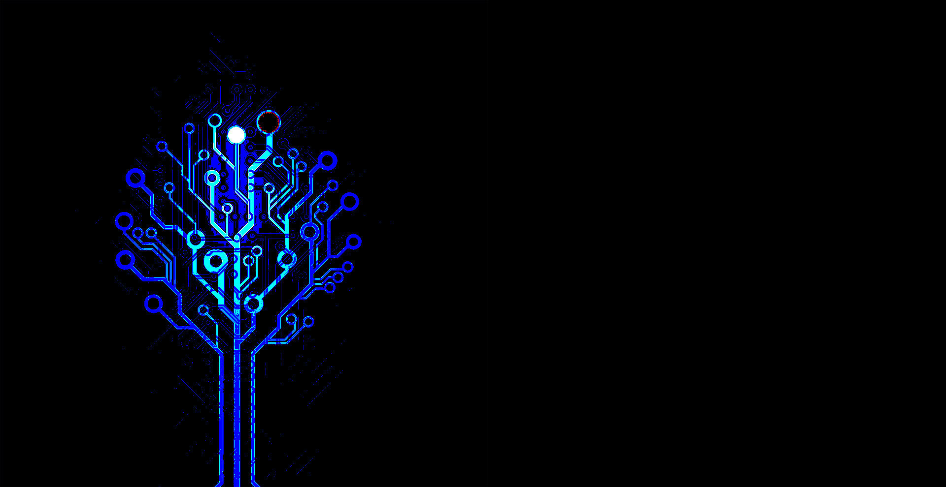 Digibrute Technologies